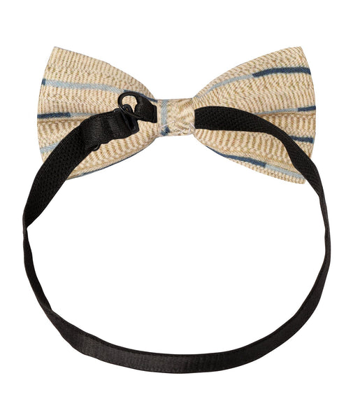 Cream and Blue Printed Bow Tie